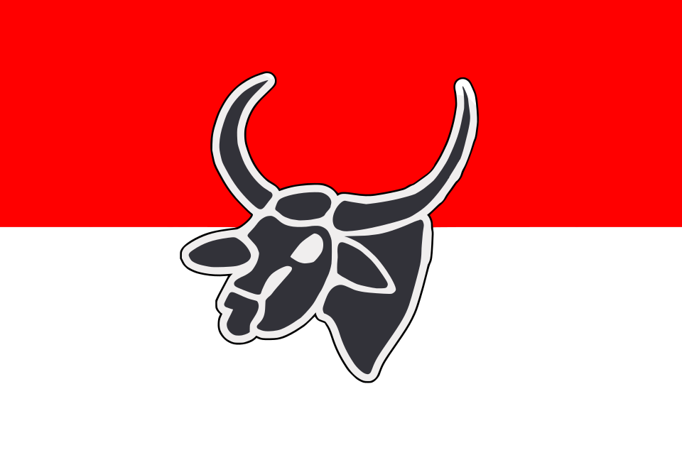 File:Bendera Perhimpoenan Indonesia.svg