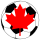 Taskforce icon