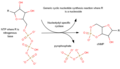 Thumbnail for version as of 14:44, 14 April 2013
