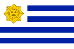 Flag of the Gobierno del Cerrito (1840s)