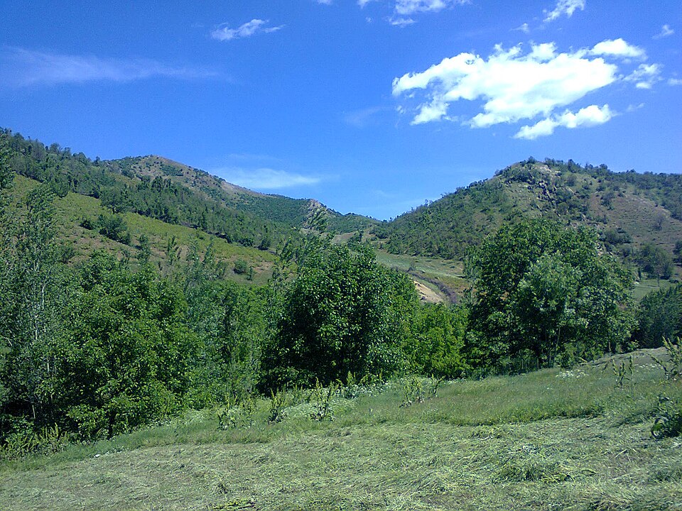 File:Garor2.jpg
