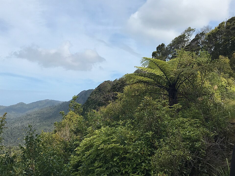File:Karamea Bluffs.jpeg