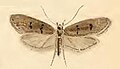 Thumbnail for version as of 18:48, 25 October 2011