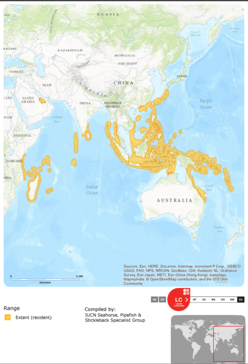 File:Messmate piepfish range.png
