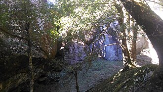 More caves near Drupal