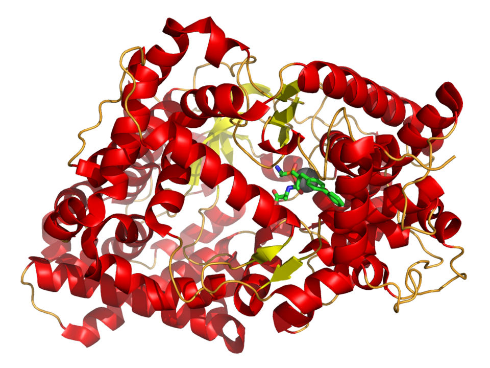 File:Neprilysin 1r1h.png
