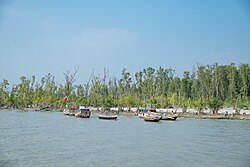 Boats offshore an island