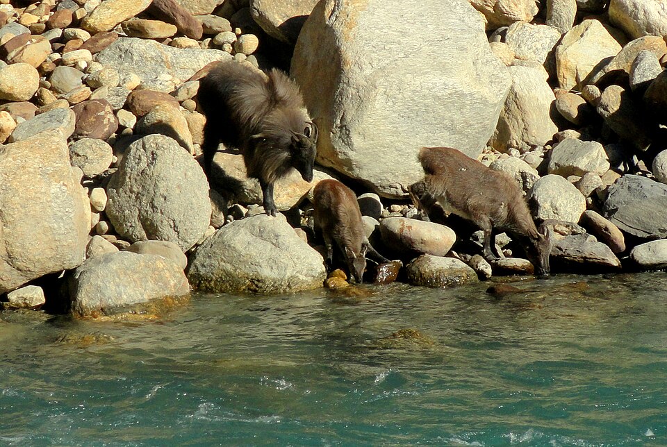 File:HT Bhagirathi.jpg