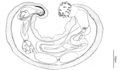 Thumbnail for version as of 21:20, 27 May 2020
