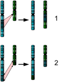 Thumbnail for version as of 16:07, 5 November 2007