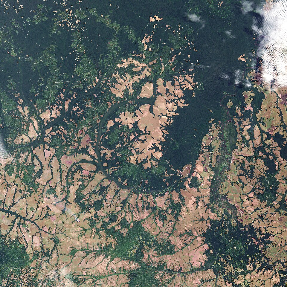 File:Wembo-Nyama Feature, DR Congo 2000-04-01 lrg.jpg