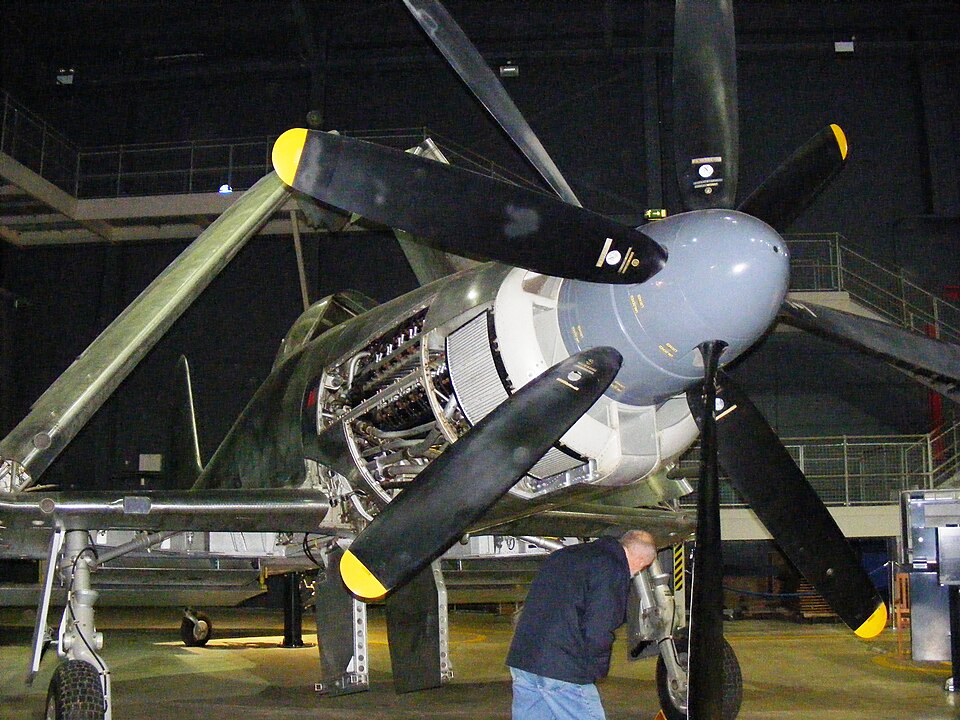 File:Westland Wyvern TF1.jpg