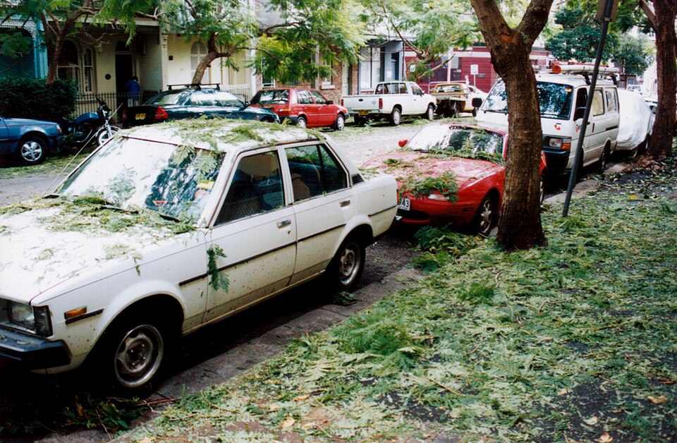 File:1999 Sydney hailstorm cardamage.jpg