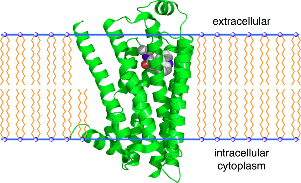 File:2RH1.png