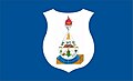 Flag of Barra de São Francisco
