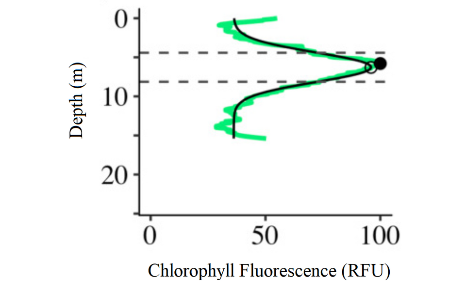 File:Chlorophyll maximum.png