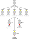 Thumbnail for version as of 15:40, 15 August 2011