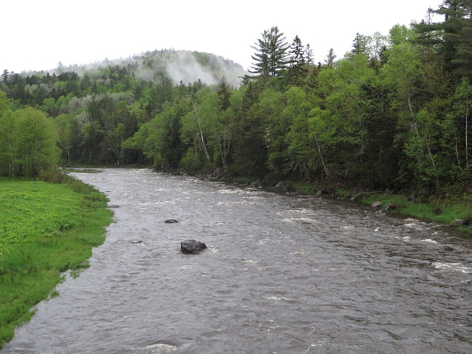 File:Dead Diamond River.jpg