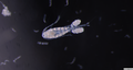 Thumbnail for version as of 21:12, 9 January 2025