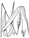 Thumbnail for version as of 22:06, 25 February 2013
