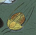 Thumbnail for version as of 02:50, 2 October 2014