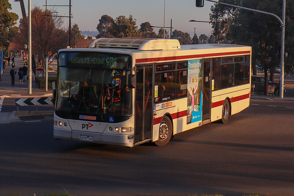File:Route 484 Bus.jpg