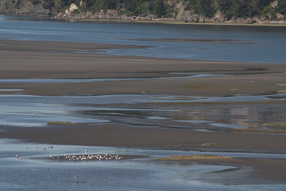 File:Skagit Bay 6308.JPG