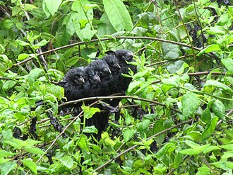 In the Galápagos