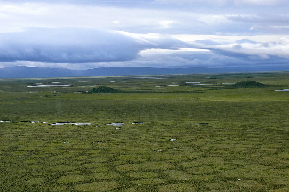 File:Tundra Polygons and Pingos (9514080830).jpg