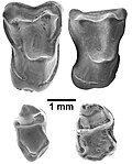 Thumbnail for version as of 17:53, 26 June 2012