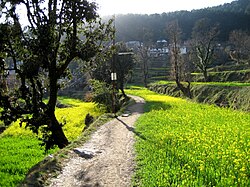 Dhauladhar
