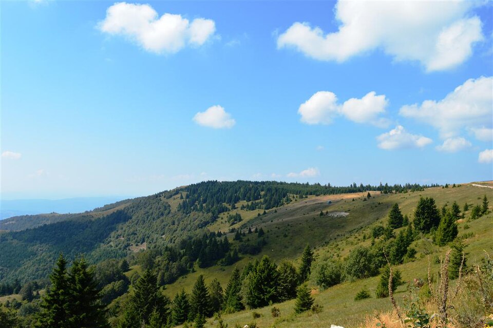 File:Golija 0317.jpg