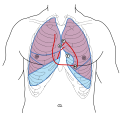 Thumbnail for version as of 04:00, 26 February 2010