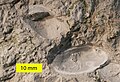 Thumbnail for version as of 14:43, 30 September 2012