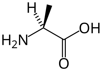 File:L-alanine-skeletal.svg