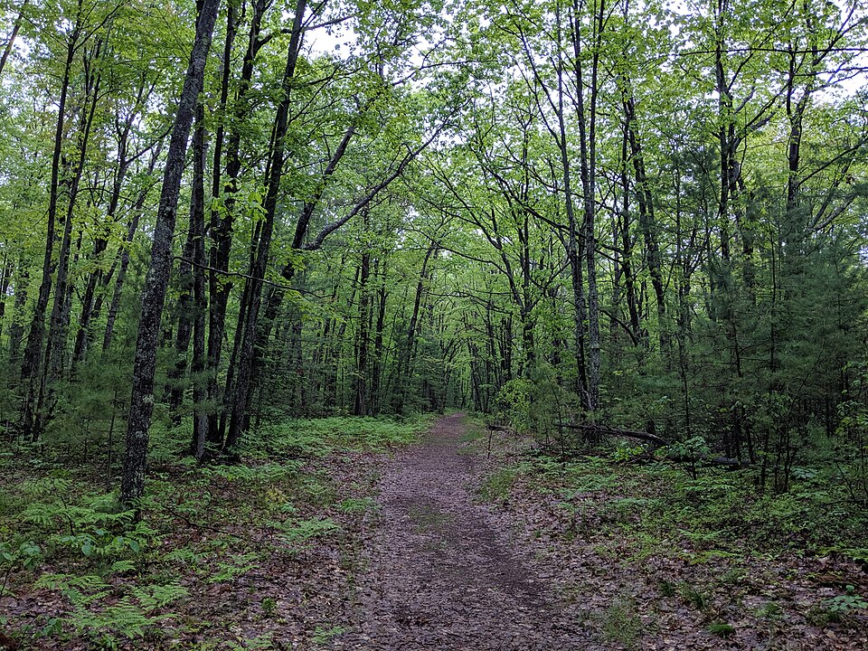 File:Negwegon trail.jpg