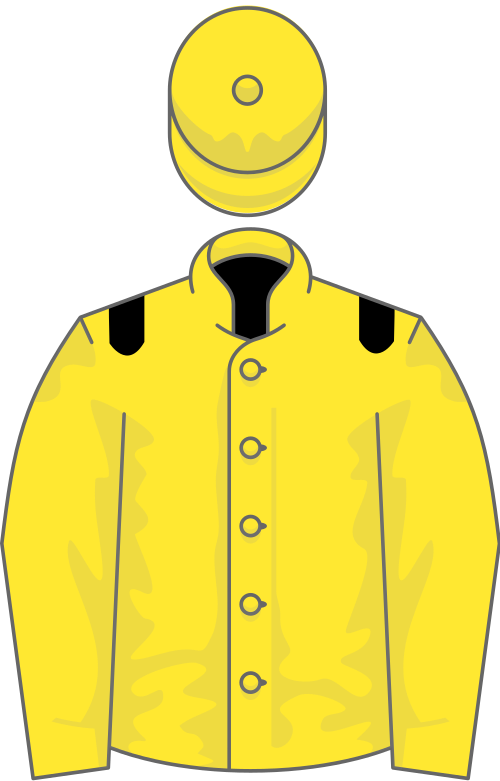 File:Owner Sheikh Ahmed Al Maktoum.svg