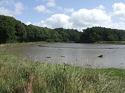 Saleen Creek opens to Cork Harbour and is southwest of Saleen village