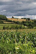 Pričević - Panorama