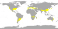 Thumbnail for version as of 07:57, 19 June 2026