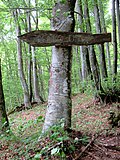 Thumbnail for version as of 03:18, 23 May 2021