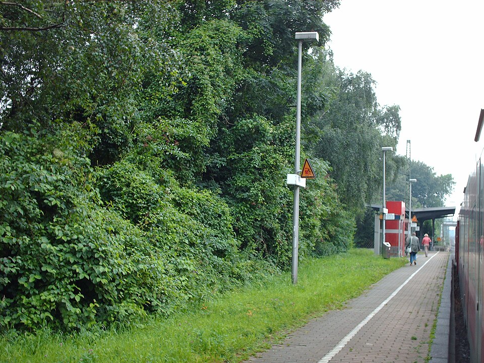 File:Bahnhof Heessen.jpg