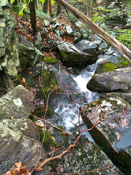 File:CFPAWhitestoneCliffsTrailBrook2.jpg