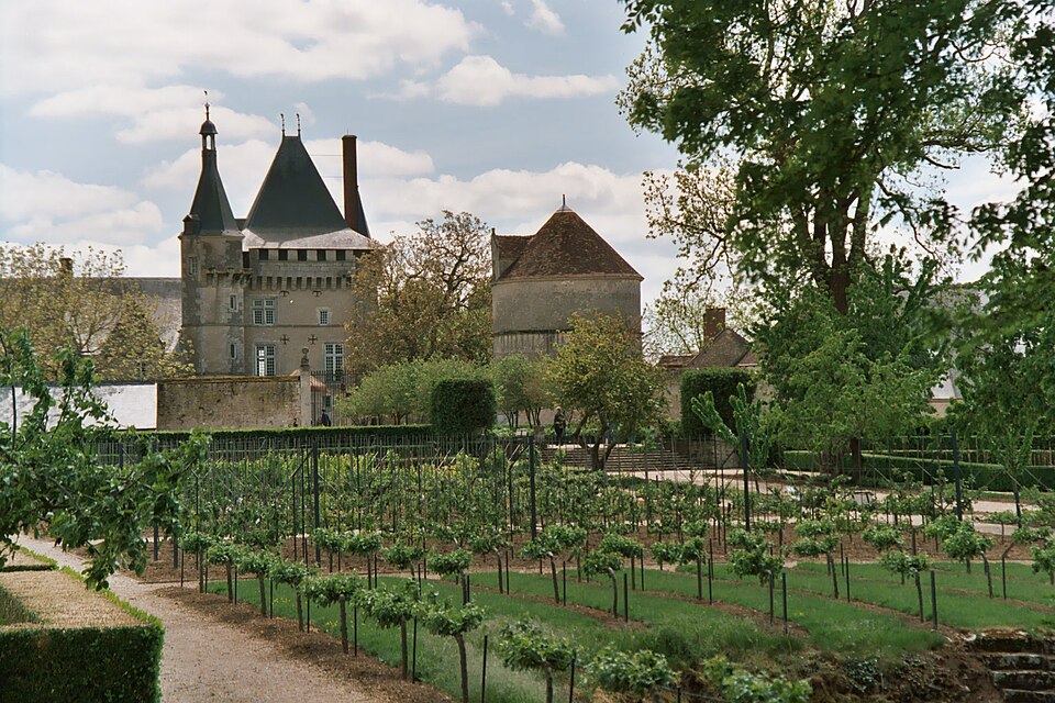 File:Castle of Talcy 01.jpg