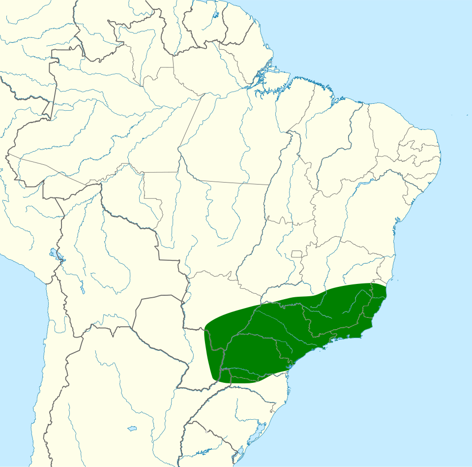 File:Notharchus swainsoni map.svg
