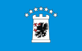 Flag of Kartuzy County
