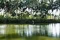 Kerala