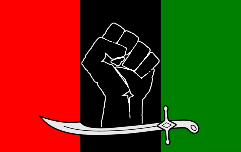 File:Flag of PPP-SB.svg