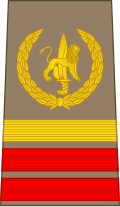 Caporal-chef(Congolese Ground Forces)