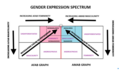 Thumbnail for version as of 04:21, 7 May 2025